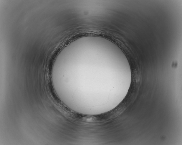 X0000111370564200907241248