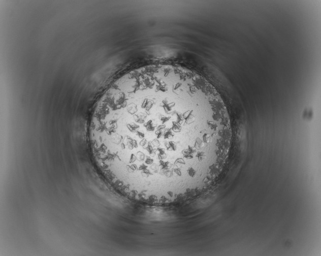 X0000111370565200907241248