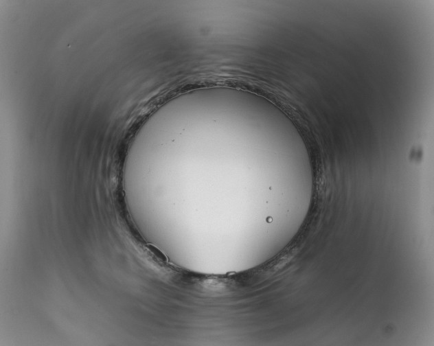 X0000111370566200907241248