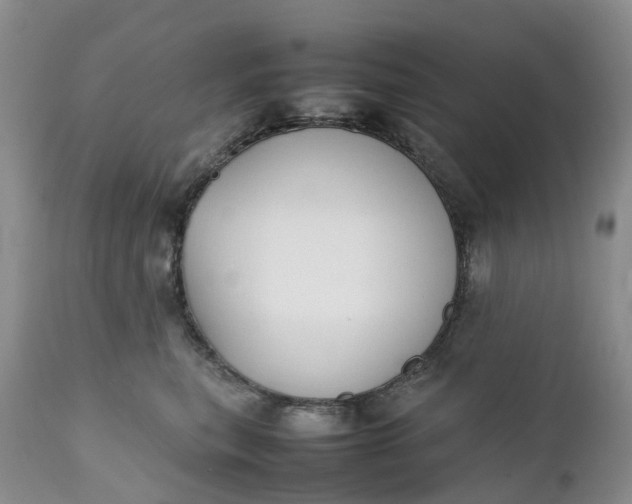 X0000111370567200907241248