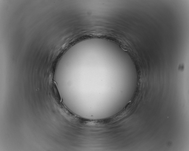 X0000111370568200907241248