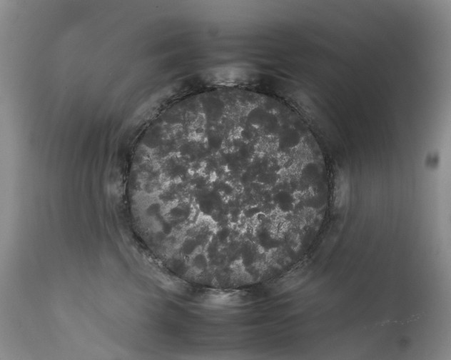 X0000111370569200907241248