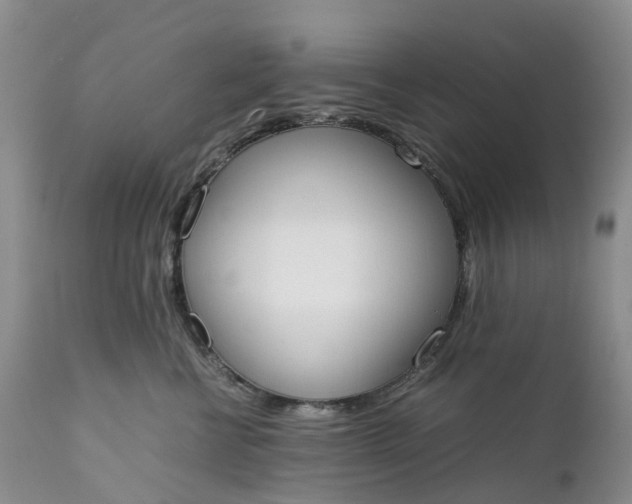 X0000111370570200907241248