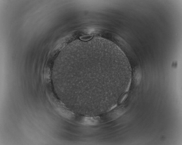 X0000111370571200907241248