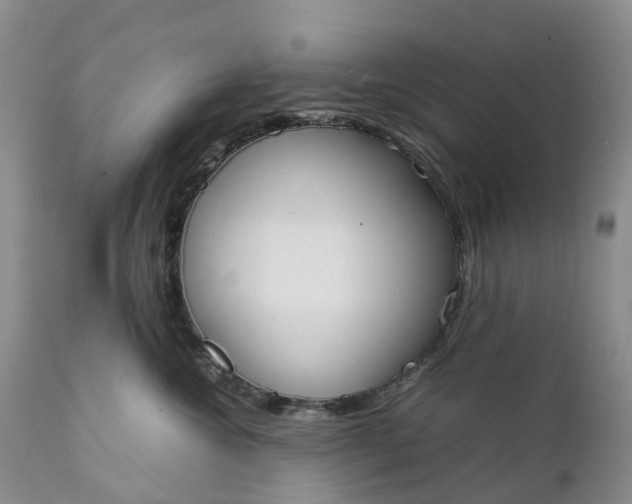 X0000111370572200907241248