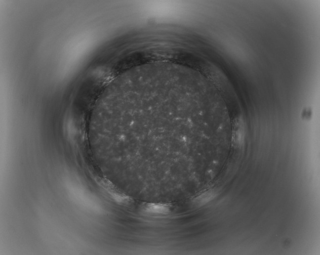 X0000111370573200907241248