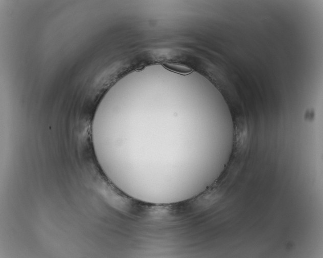 X0000111370574200907241248