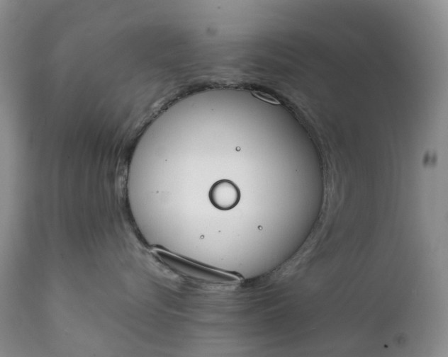 X0000111370576200907241248