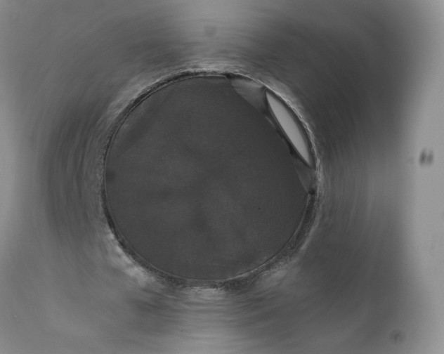 X0000111370577200907241248