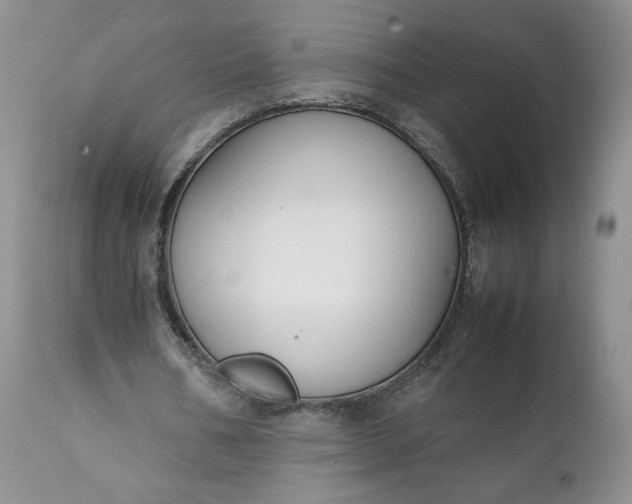 X0000111370578200907241248