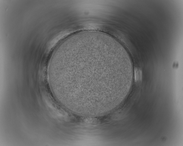 X0000111370579200907241248