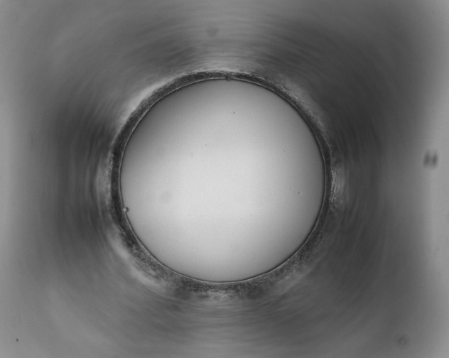 X0000111370580200907241248