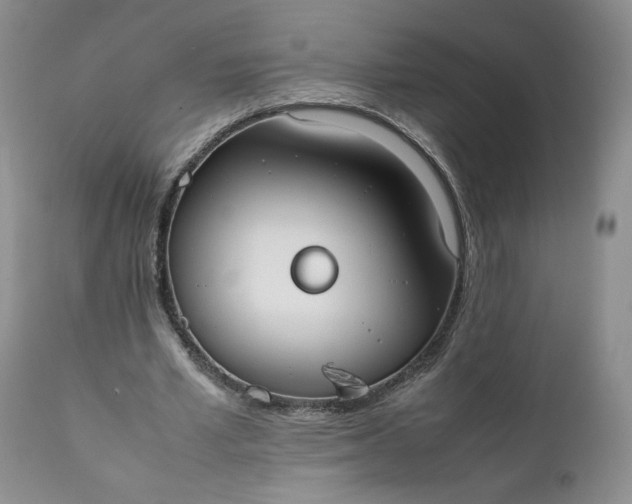 X0000111370581200907241248