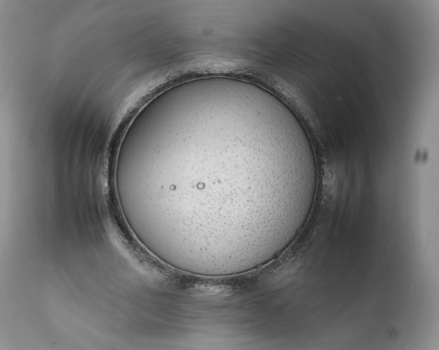 X0000111370582200907241248