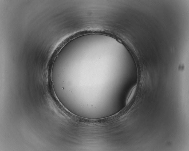 X0000111370584200907241247