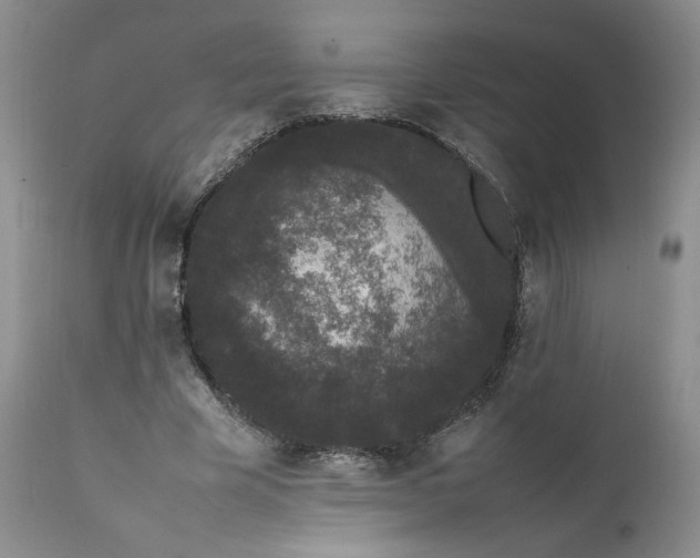 X0000111370585200907241247