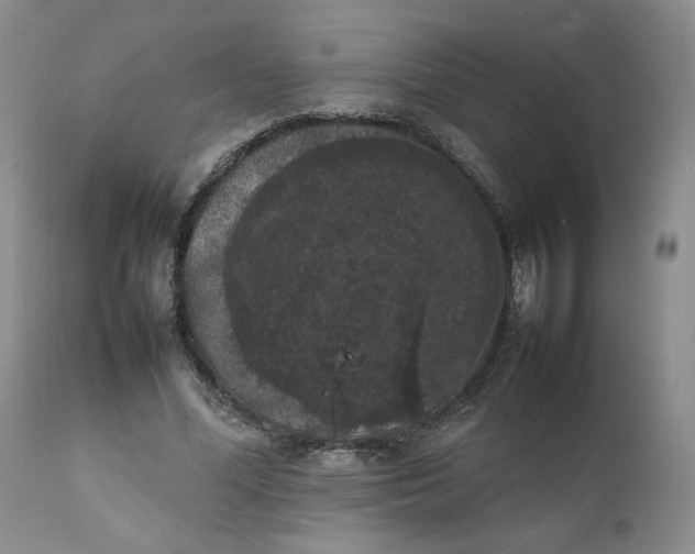 X0000111370588200907241247