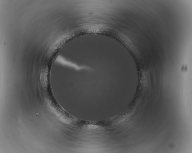 X0000111370590200907241247