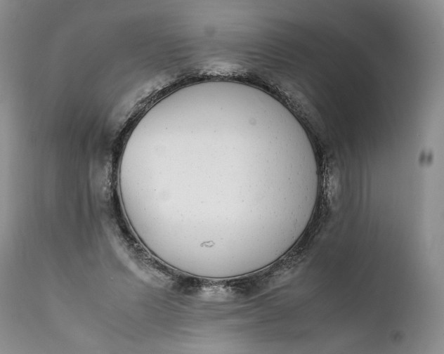 X0000111370591200907241247