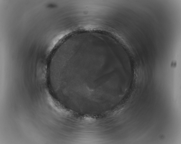 X0000111370592200907241247