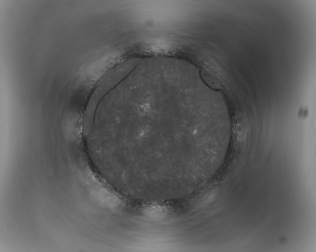 X0000111370593200907241247