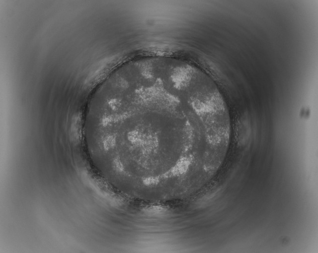 X0000111370594200907241247