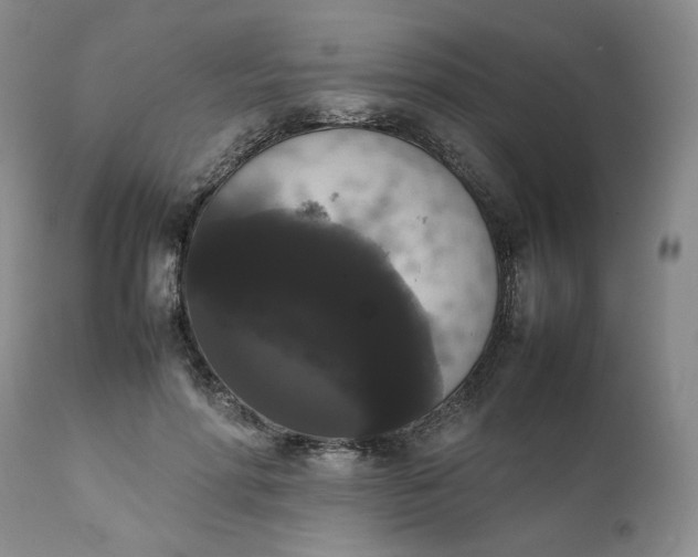 X0000111370598200907241247