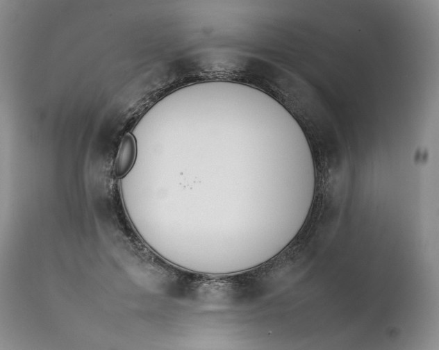 X0000111370599200907241247