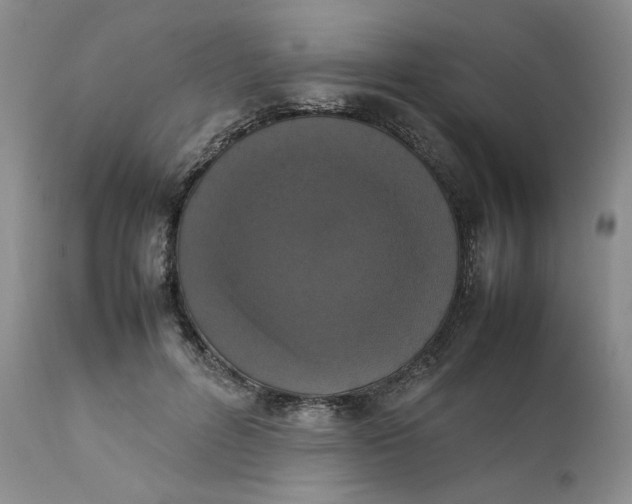 X0000111370600200907241247