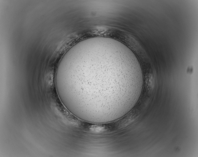 X0000111370602200907241247