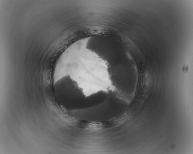 X0000111370606200907241247