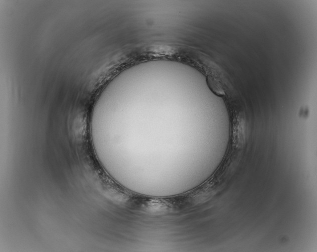 X0000111370608200907241247