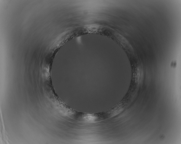 X0000111370610200907241247