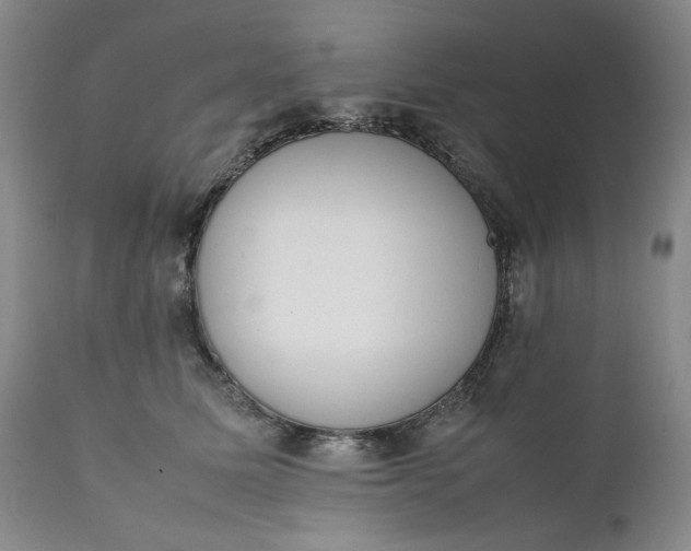 X0000111370611200907241247