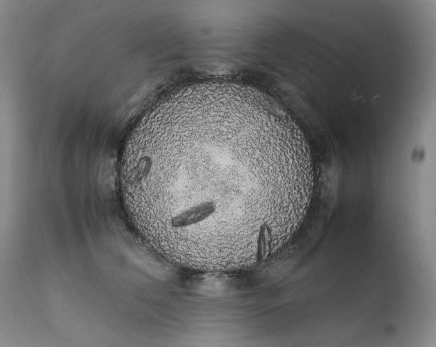 X0000111370612200907241247