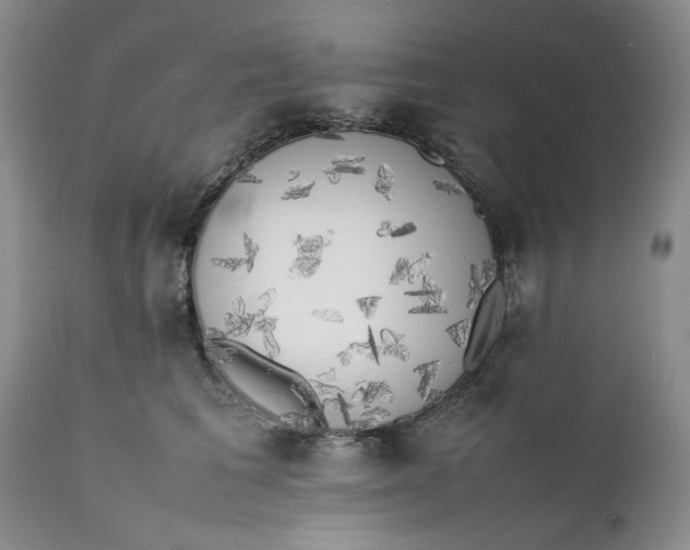 X0000111370613200907241247