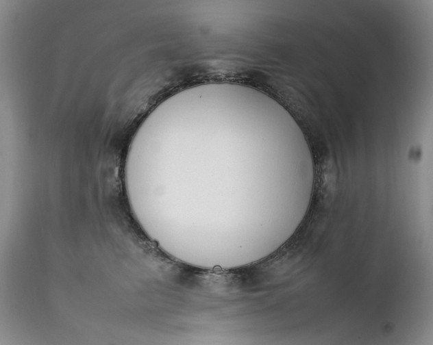 X0000111370615200907241247