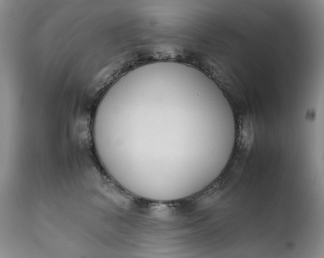 X0000111370616200907241247