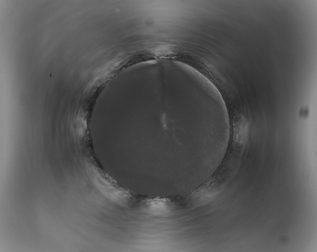 X0000111370618200907241247