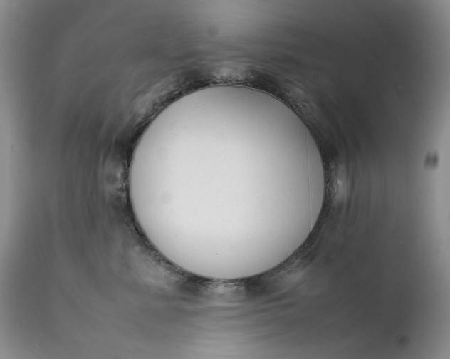 X0000111370619200907241247