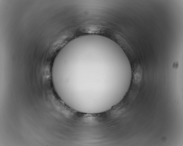 X0000111370620200907241247