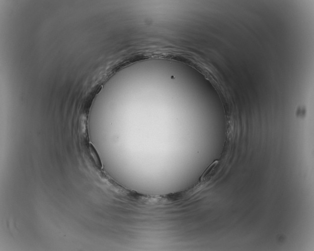 X0000111370621200907241247