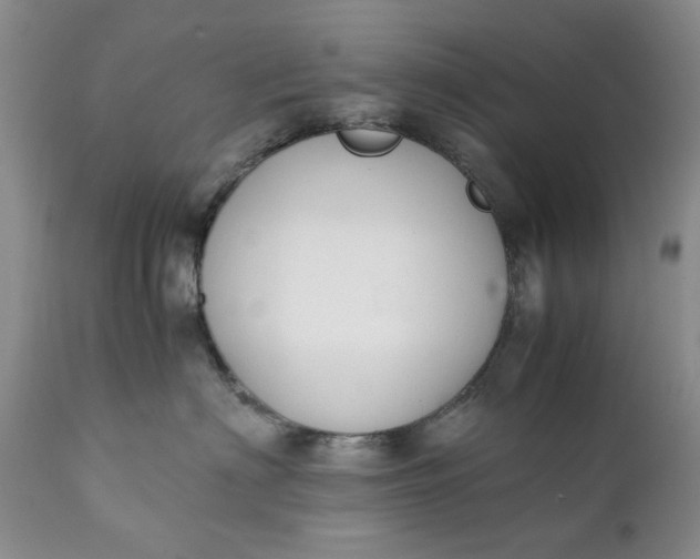 X0000111370622200907241247