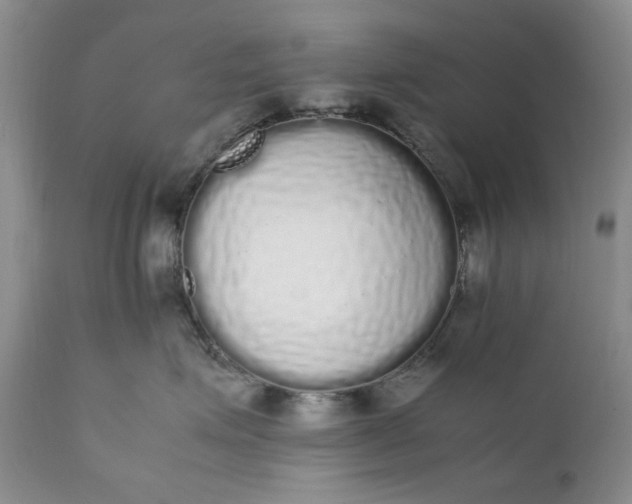 X0000111370623200907241247