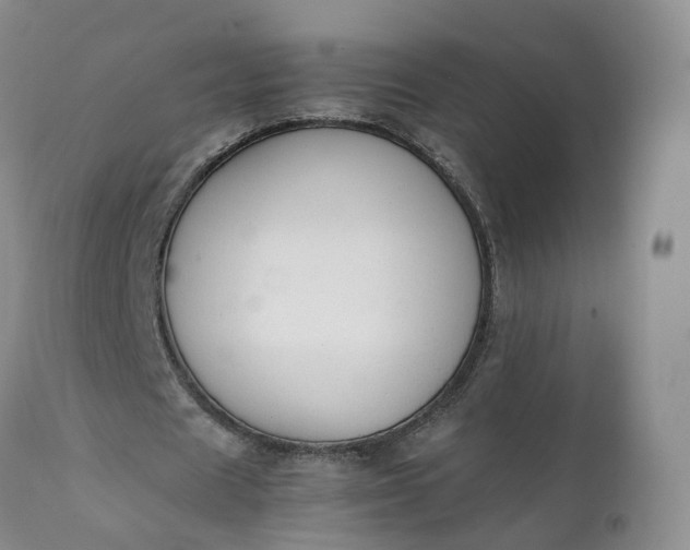 X0000111370625200907241246