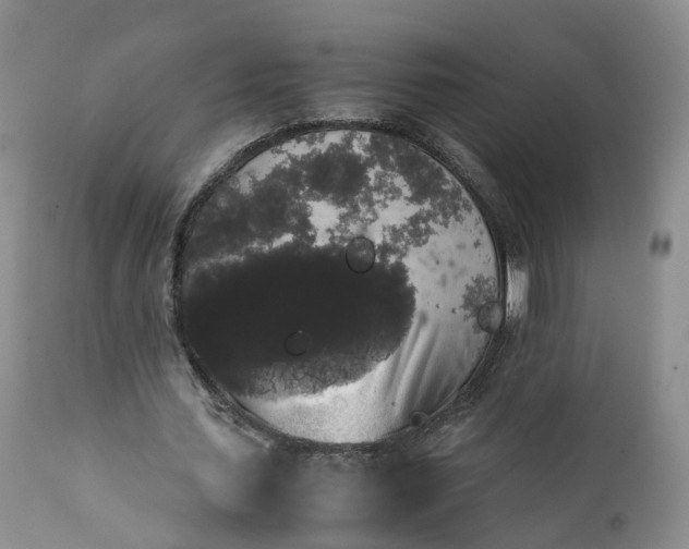 X0000111370627200907241246