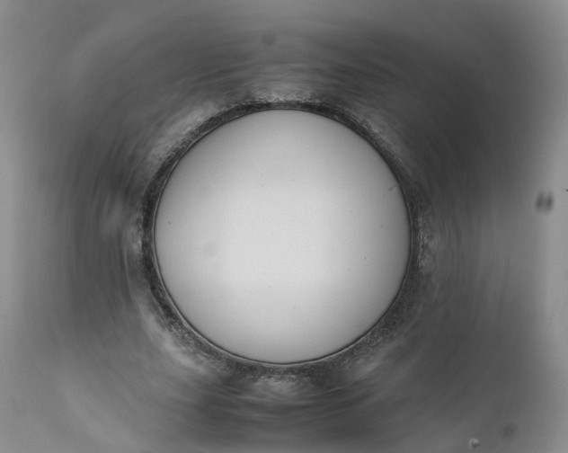 X0000111370631200907241246