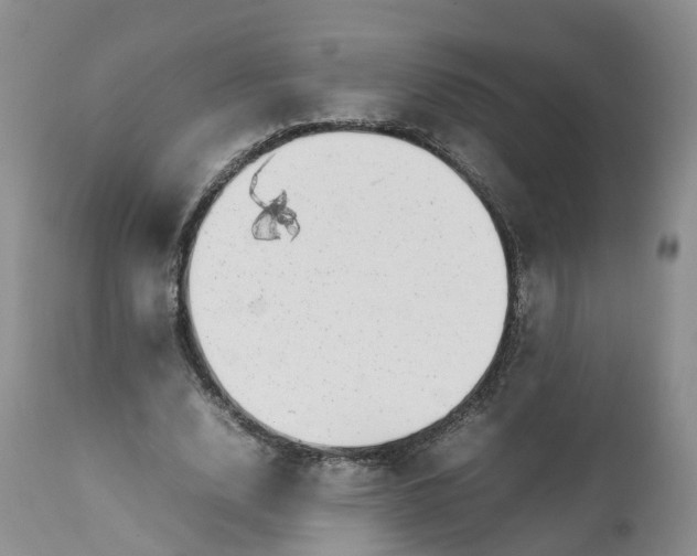 X0000111370632200907241246