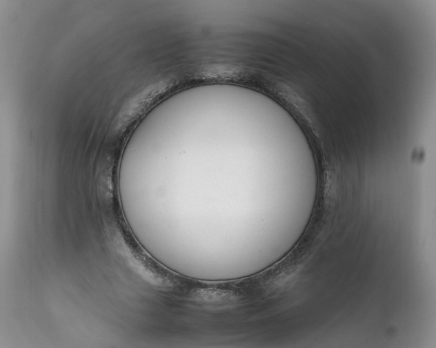 X0000111370633200907241246