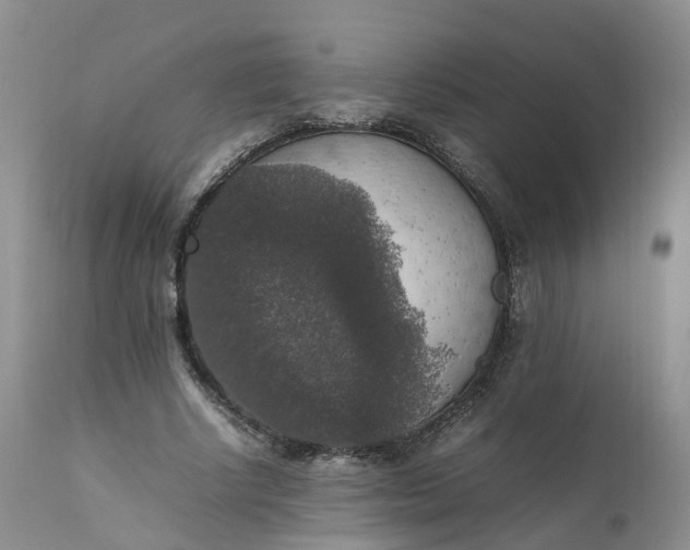 X0000111370634200907241246